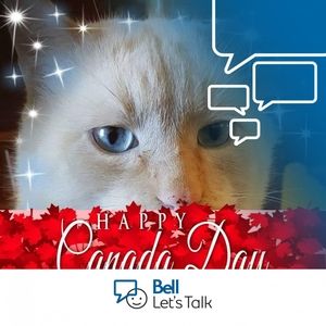 Meet your Posher, Norma